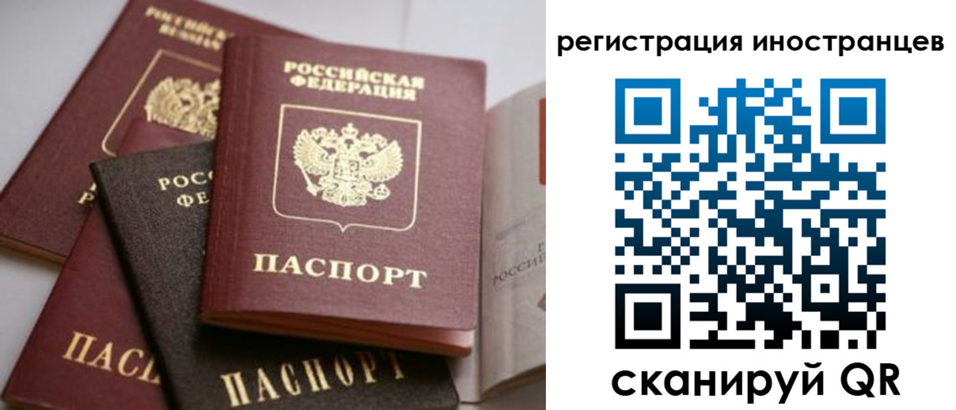 форма 3 в Фокино